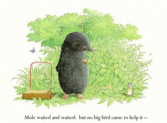 英文绘本故事《mole and the baby bird》PPT免费下载